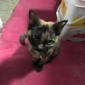 Meet your Posher, Marcy